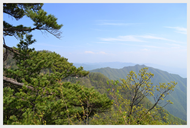 2012年5月5日王顺山丛林公园户表拓展活动